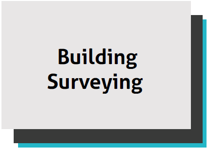 Building surveying