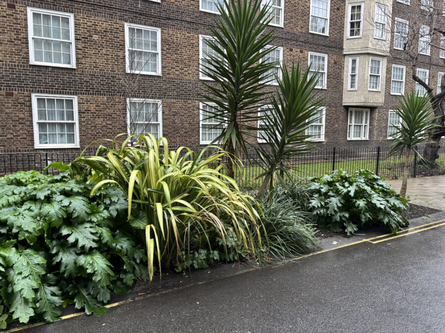 Image of the side of brick building in London with greenery in the foreground. 